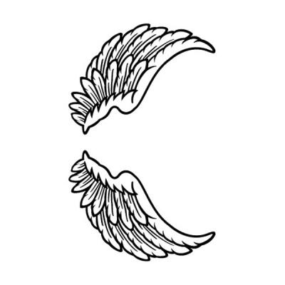 TATTOOʥȥ Regulare242