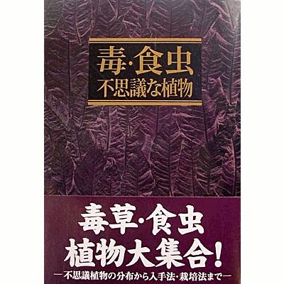 ǡ桡Ի׵Ĥʿʪ