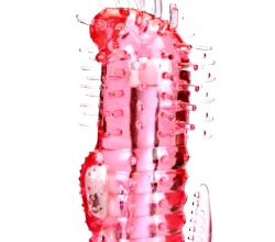 ѥȤΤüʬǤ