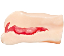 G͵ݥ̥Ǥ3ᴶС