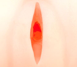 ̡Υ󥰥Ǥ