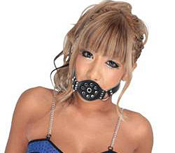 ���ѥ��᡼���Ǥ���