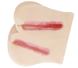 ������ξ��Ȥ����Ǵ���������¤�Ǥ���