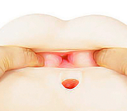 �Ĥ�Ĥ��ȩ�����ķꡪ�����ϥҥ���¤��