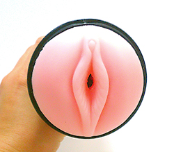 �������̵�����������Ǥ���