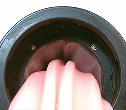 �����ˤϥ��������å�������äƤ��ޤ���