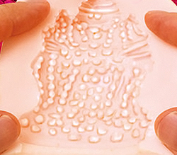̵ΥܷΤʤǤͤ˻ɷ㤷³롪