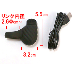 ���Υ������Ǥ���