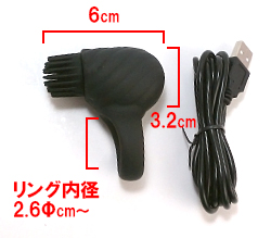 ���Υ������Ǥ���