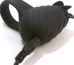 ��������Ÿ��ܥ����֤��������ޤ������������齼�Ŵ�λ�Ǥ���