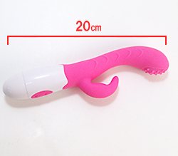 ���Υ������Ǥ���