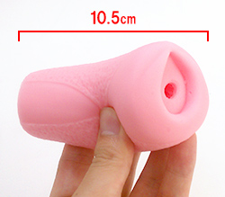 ���ʥۡ��륵�����Ǥ���