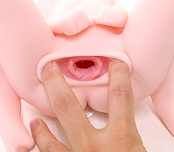 ����������򤯤Ѥ��Ȥ��Ƥߤޤ�����