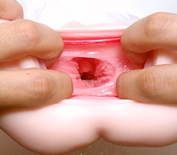 �����ϥ��ܥ��ܤΥ��ꥳ��ȥХ��塼�ശ��̣�臘���Ȥ��Ǥ��ޤ���