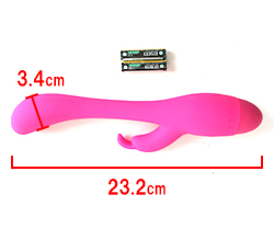 ���Υ������Ǥ���