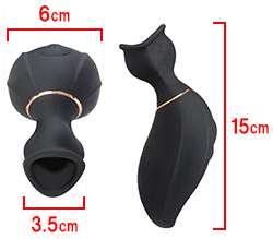 ���Υ������Ǥ���