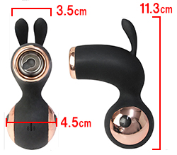 ���Υ������Ǥ���