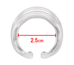 ���Υ������Ǥ���