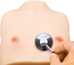 ���ѥ��᡼���Ǥ����ܳʻ��ͤ�İ�Ǵ�Ǥ���Ԥ��󤴤ä���