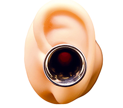 ���ѥ��᡼���Ǥ����ܳʻ��ͤ�İ�Ǵ�Ǥ���Ԥ��󤴤ä���