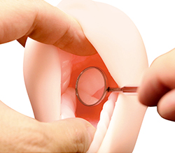 ���ѥ��᡼���Ǥ����ܳʻ��ͤ�İ�Ǵ�Ǥ���Ԥ��󤴤ä���