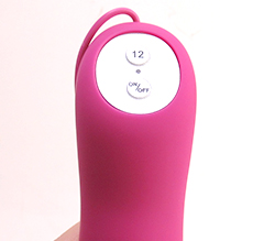 �ѥ��������إܥ�����Ÿ�ON/OFF�ܥ���ΤߤΥ���ץ��߷ע�