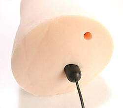 ���¦����°�Υ���������2�����ֲ�ǽ��7��ο�ư�ѥ�����