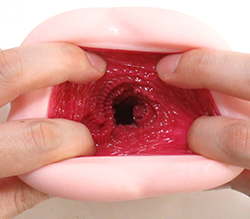 ���뤰�륮��γ�ο����С�