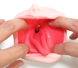 ��Ⱦ�ܤǤ�����ݤ򤷤ä��궴��ǵۤ��Ԥ���