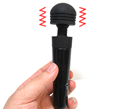 ����ץ����ǽ��ƤΥǥ�ޥǥӥ塼�ˤ��������