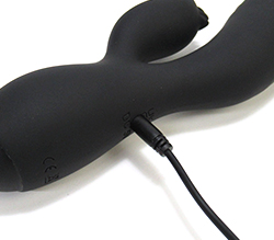 ���Ż���100ʬ����70ʬ��Ϣ³���ѡ�