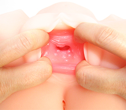 ���ܥҥ����������ä������ߤĤ���