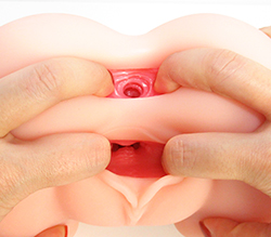 2�꤬���ĤǤ�ڤ���������ۡ���Ǥ���