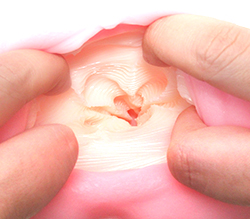 ���륮���������ߤĤ���