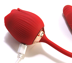 ۰Ĥܤߤ˥ޥͥåȤ򥻥åȤƽŤޤ