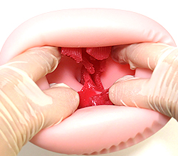 ���ƴ����뵤�����褵