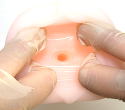 ���֤ʥ����꤬����ߤ˻ɷ㤹�롪��