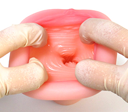 ̩�崶ȴ���ΰ����ץ쥹