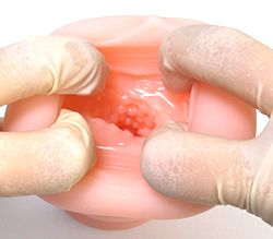 ̩�������Ĥ֤Ĥ֤������ʤ���Ͷ�Ǥ���