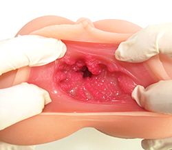 ̵���Υĥ֥ĥ֤�������紸�