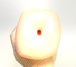 ꥢǤ̣廊ʤ̤Τʤ봶